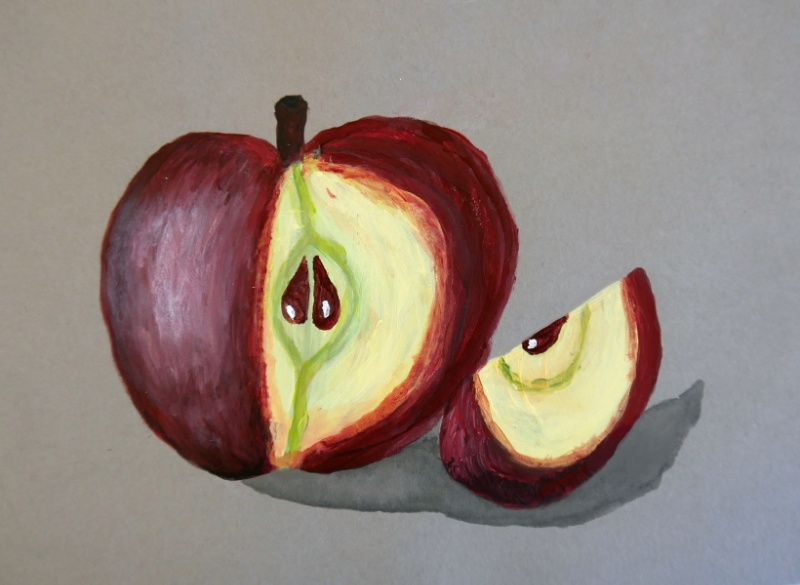 Klasse 7: Naturstudium